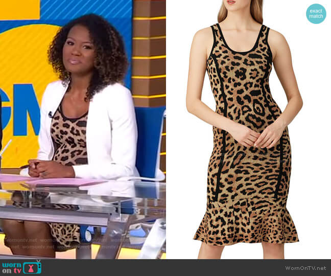 Leopard Knit Sheath Dress by Great Jones worn by Janai Norman on Good Morning America