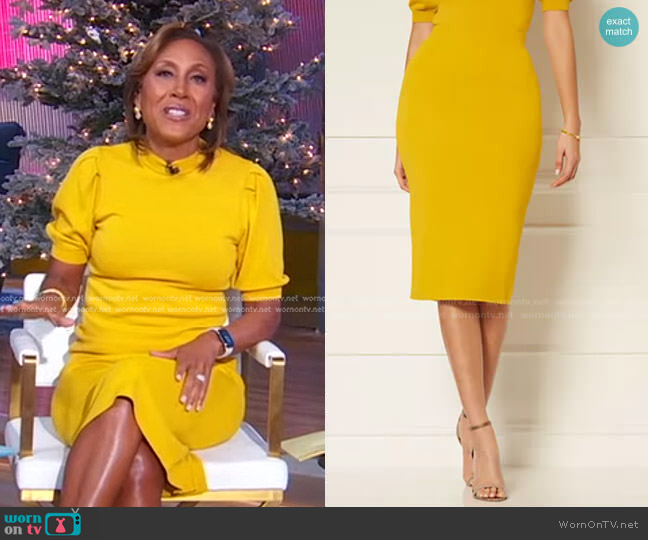 Jacqui Sweater Skirt - Eva Mendes Collection by New York & Company worn by Robin Roberts on Good Morning America