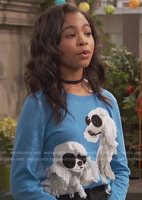 Nia’s blue poodle sweater on Ravens Home