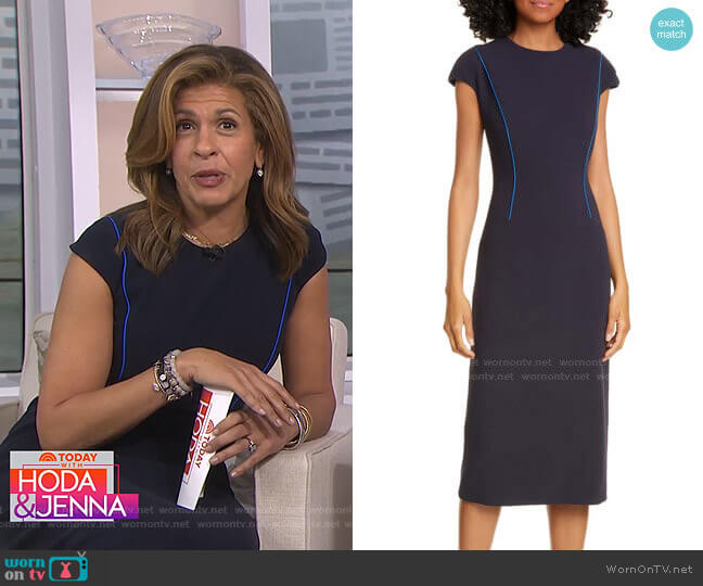 Alta Sheath Dress by Judith & Charles worn by Hoda Kotb on Today