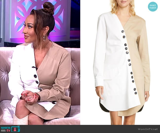 Harrison Asymmetrical Cotton Shirtdress by Tibi worn by Adrienne Houghton on The Real