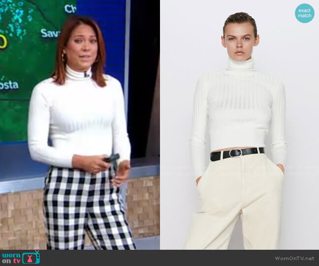 Ribbed Turtleneck Sweater by Zara worn by Ginger Zee on Good Morning America
