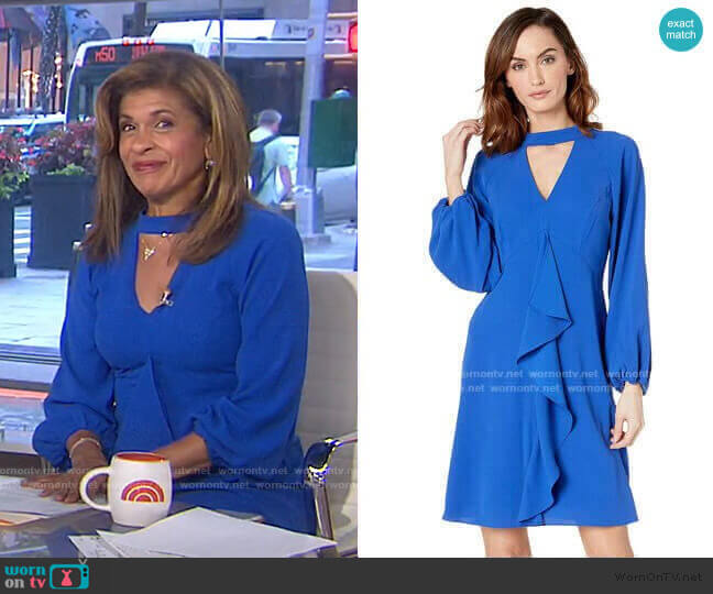 Fancy Crepe Ruffle Dress by Adrianna Papell worn by Hoda Kotb on Today