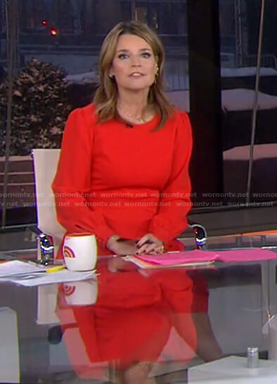 Savannah’s red pleated dress on Today