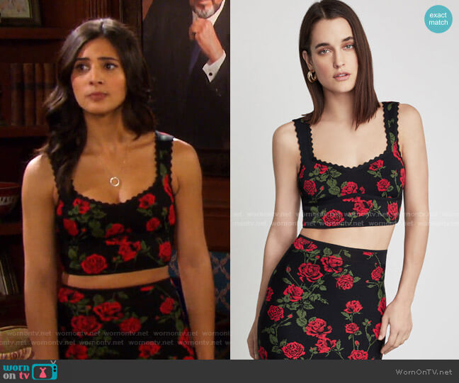 La Rosa Cropped Top by Bcbgmaxazria worn by Gabi Hernandez (Camila Banus) on Days of our Lives