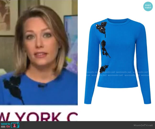 Cerulean Applique Sweater by Prabal Gurung Collective worn by Dylan Dreyer on Today