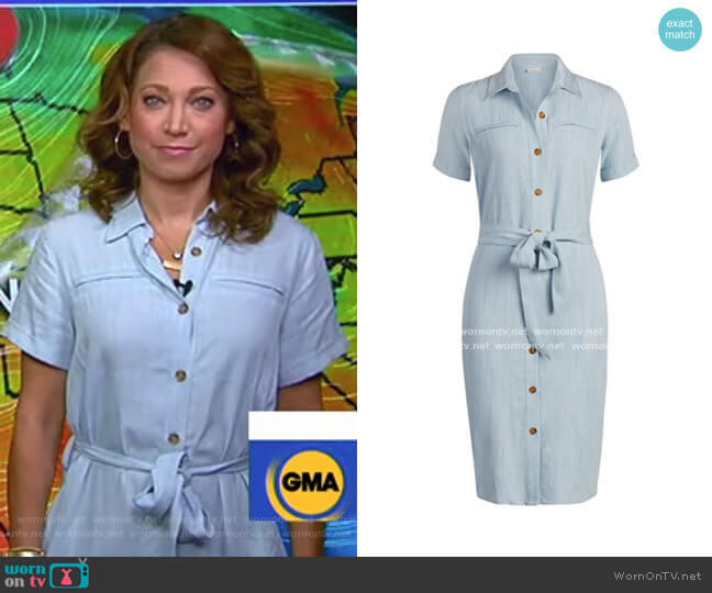 Dagmar Dress - Eva Mendes Collection by New York & Company worn by Ginger Zee on Good Morning America