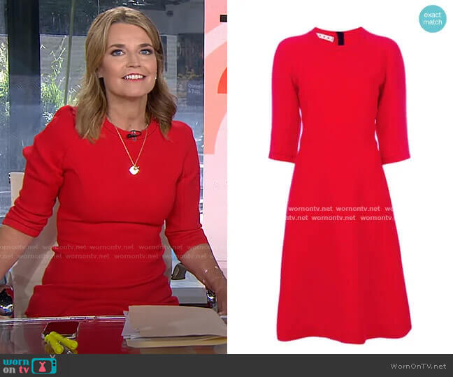 Flared Shift Dress by Marni worn by Savannah Guthrie on Today