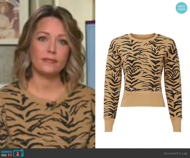 Joy Sweater by Madewell worn by Dylan Dreyer on Today