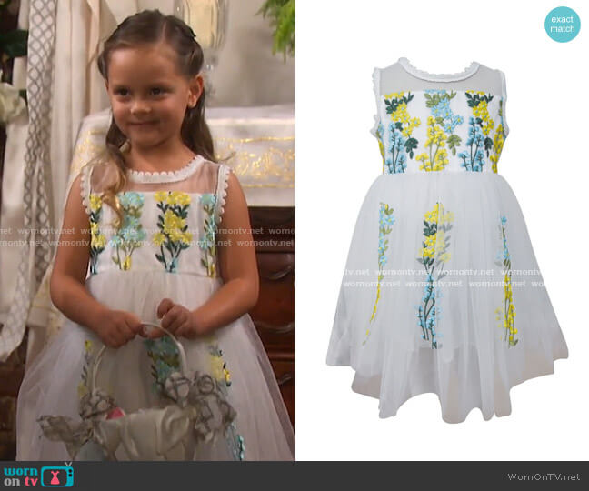 Embroidered Floral Tulle Dress by Popatu worn by Elin Alexander on Days of our Lives