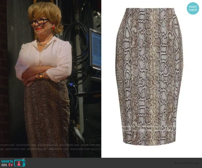 Snake Pencil Skirt by Victoria Beckham worn by Hadassah Gold (Bette Midler) on The Politician