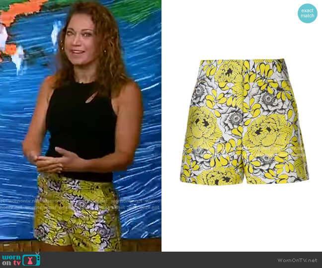 Cady High Waist Clean WB Shorts by Alice + Olivia worn by Ginger Zee on Good Morning America