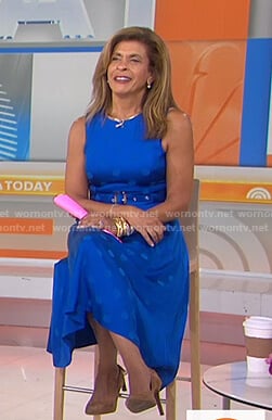 Hoda’s blue polka dot belted dress on Today