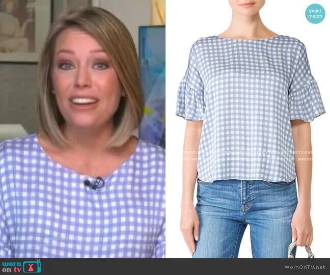 Gingham Blouse by Slate & Willow worn by Dylan Dreyer on Today