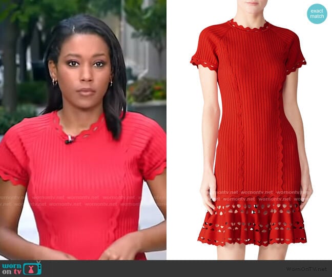 Knit Zig Zag Dress by Jonathan Simkhai worn by Rachel Scott on Good Morning America