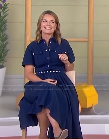 Savannah’s blue button front pleated dress on Today