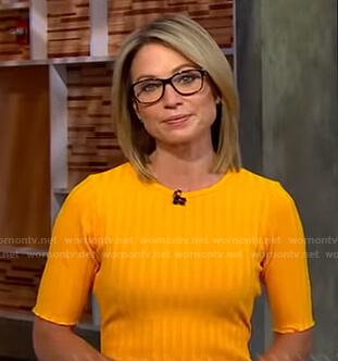 Amy’s orange ribbed dress on Good Morning America