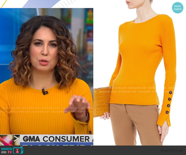 Ribbed Sweater by Cotton by Autumn Cashmere worn by Cecilia Vega  on Good Morning America