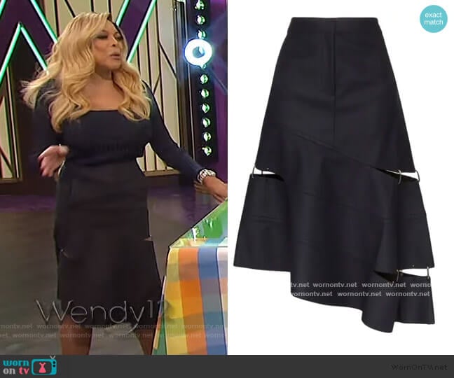 Asymmetric Cutout Ring Detail Skirt by Tibi worn by Wendy Williams on The Wendy Williams Show