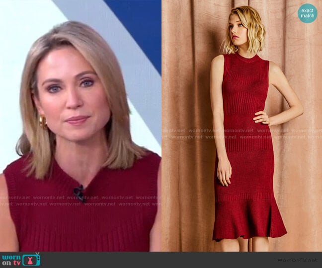 Inez Knit Sweater Dress by Adelyn Rae worn by Amy Robach on Good Morning America