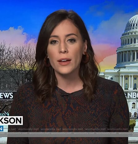 Hallie Jackson’s snake print dress on Today