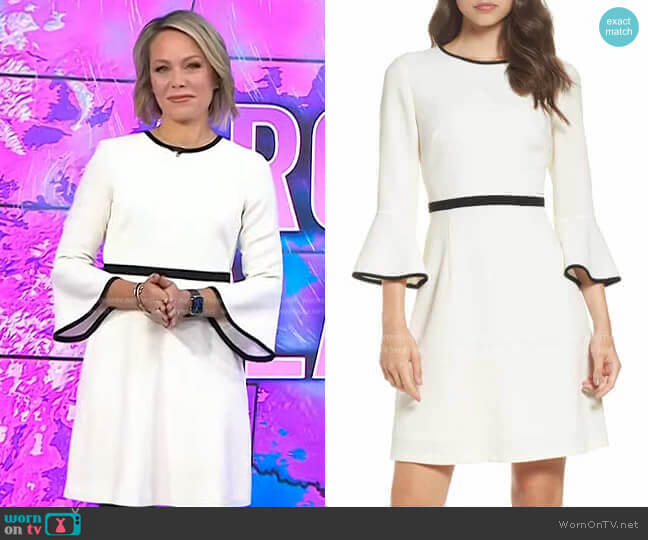 Fit & Flare Dress by Eliza J worn by Dylan Dreyer on Today
