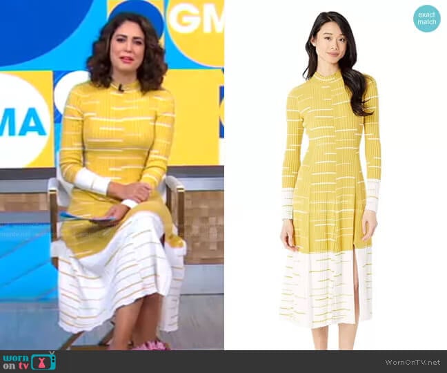 Midi Sweaterdress by Bcbgmaxazria worn by Cecilia Vega on Good Morning America