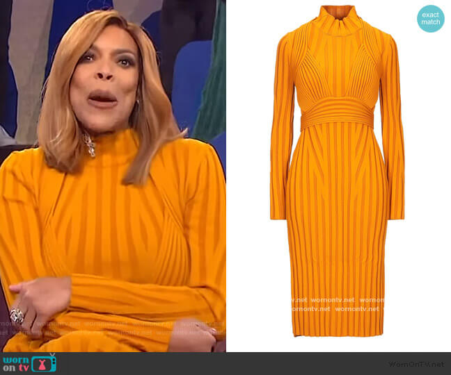 WornOnTV: Wendy’s orange ribbed dress on The Wendy Williams Show ...