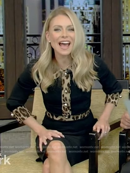 Kelly’s black dress with leopard trim on Live with Kelly and Ryan