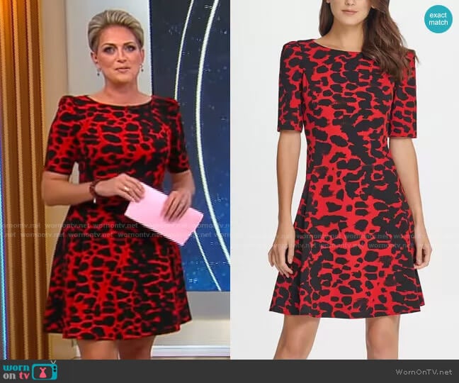 DKNY Animal Print 3/4 Sleeve A-Line Dress worn by Jamie Yuccas on CBS Mornings