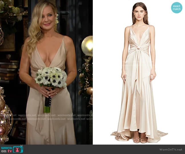 Fame & Partners Lake Gown worn by Sharon Newman (Sharon Case) on The Young and the Restless