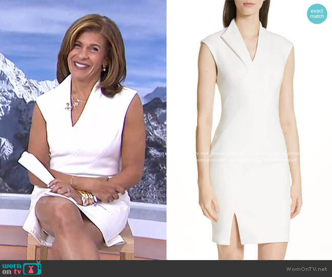 Geodese Dress by Ted Baker worn by Hoda Kotb on Today