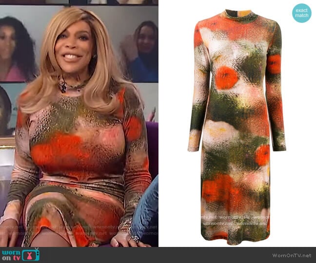 Multicolor Velvet Pollen Dress by Henrik Vibskov worn by Wendy Williams on The Wendy Williams Show