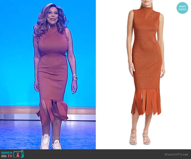 Pat Glitter Sheath Fringe Dress by Staud worn by Wendy Williams on The Wendy Williams Show