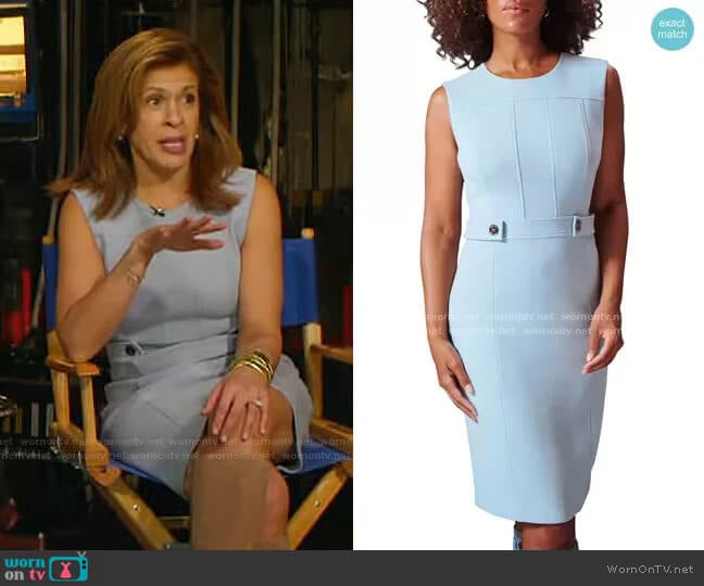 Tabby Sleeveless Sheath Dress by Toccin worn by Hoda Kotb on Today