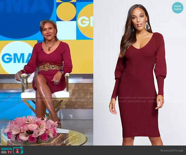 V-Neck Sweater Dress - Gabrielle Union Collection by New York & Company worn by Robin Roberts  on Good Morning America