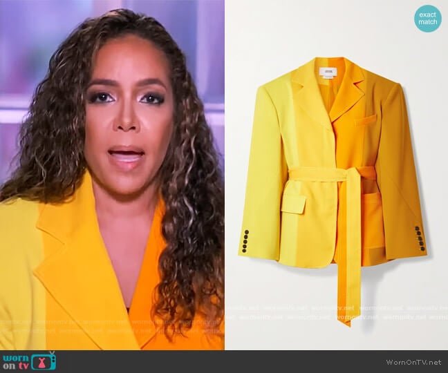 Oversized belted color-block crepe blazer by Christopher John Rogers worn by Sunny Hostin on The View