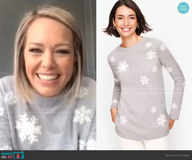 Textured Snowflake Sweater by Talbots worn by Dylan Dreyer  on Today