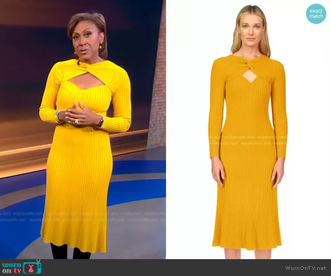 Amur Vivian Dress worn by Robin Roberts on Good Morning America