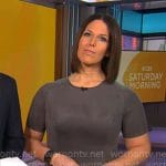 Dana Jacobson’s grey suede dress on CBS This Morning