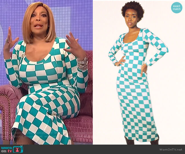 Uneck Long Dress by Phlemuns worn by Wendy Williams on The Wendy Williams Show