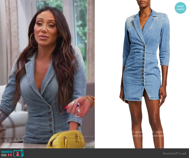 Willa Button-Front Denim Mini Dress by Retrofete worn by Melissa Gorga on The Real Housewives of New Jersey