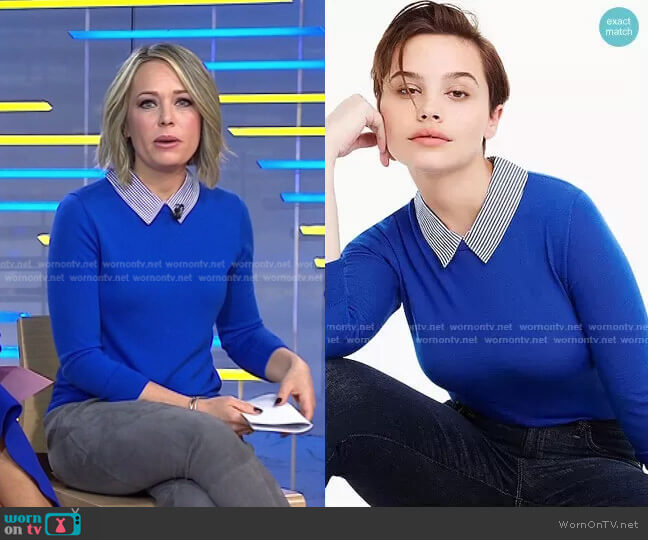 Tippi sweater with striped collar by J. Crew worn by Dylan Dreyer  on Today