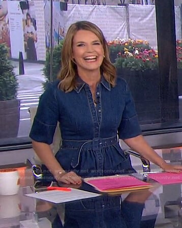 WornOnTV: Savannah's Philadelphia Eagles jersey on Today, Savannah Guthrie