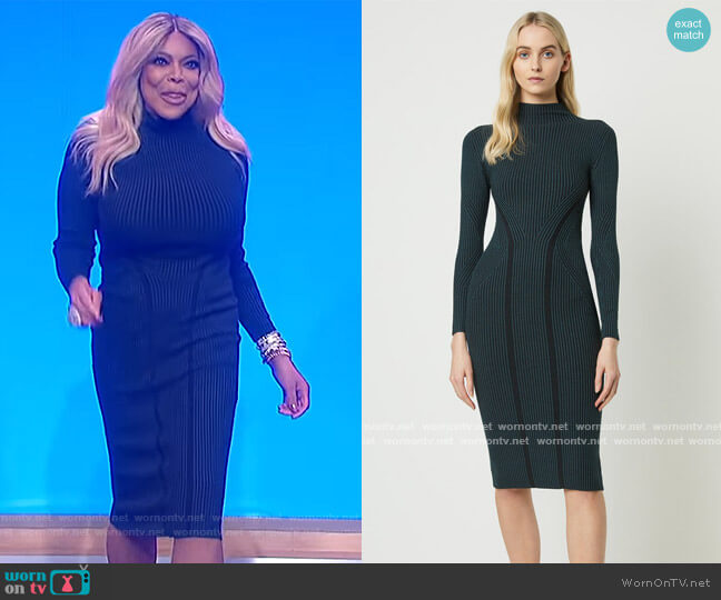 Simona High Neck Dress by French Connection worn by Wendy Williams on The Wendy Williams Show