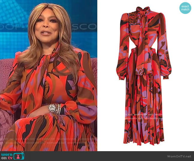 WornOnTV: Wendy’s abstract print tie neck dress on The Wendy Williams ...