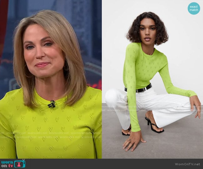 Knit Heat Sweater by Zara worn by Amy Robach on Good Morning America