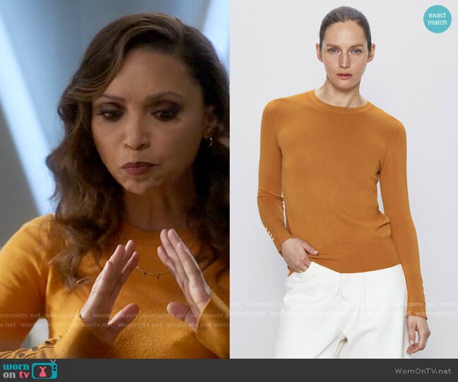 Zara Basic Knit Sweater worn by Cecile Horton (Danielle Nicolet) on The Flash