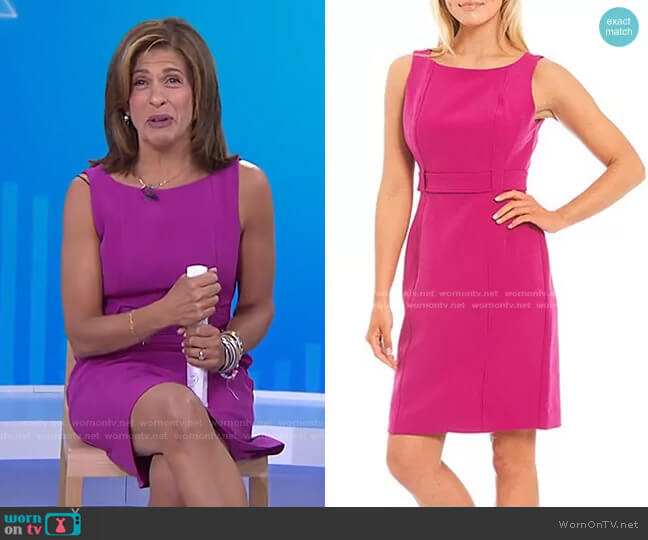 Annemarie Stretch Crepe Solid Sleeveless Dress by LDT worn by Hoda Kotb on Today