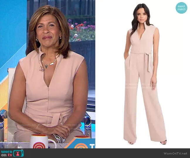 WornOnTV: Hoda’s pink beige belted jumpsuit on Today | Hoda Kotb ...